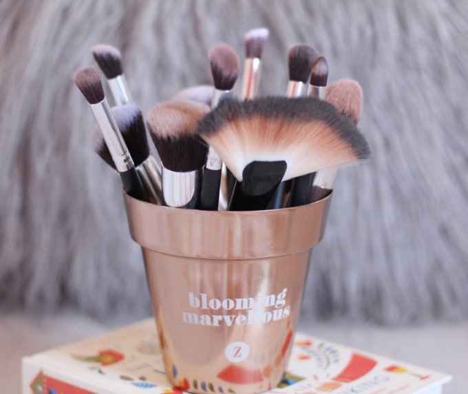 12 Piece Brush Set by Cabella.jpg
